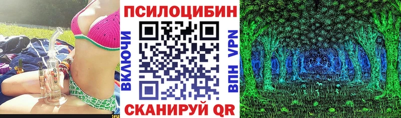 Галлюциногенные грибы MAGIC MUSHROOMS  мега ссылки  нарко площадка какой сайт  Киренск 